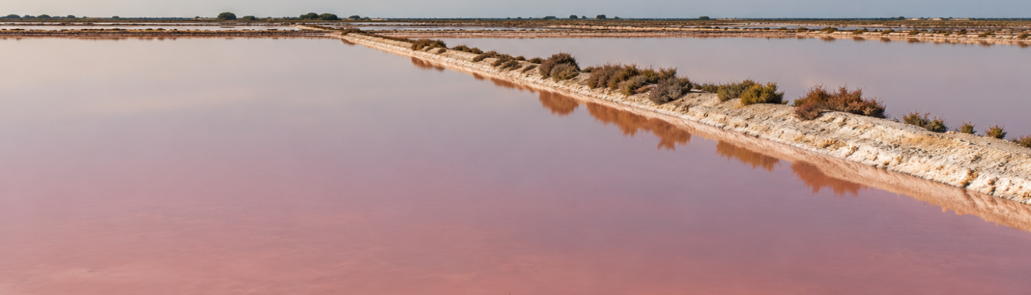 Salins camargue — Provence-Alpes-Côte d’Azur